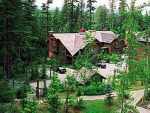 the Woods - Whistler BC